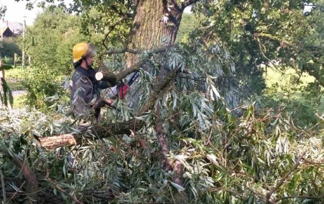 Зсув ґрунту та падіння дерев: наслідки негоди на заході України