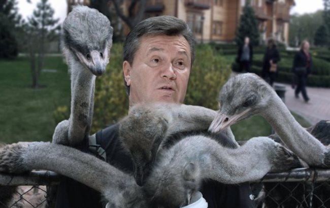 Не хуже чем у Януковича: Лукашенко похвастался страусами в своем подворье