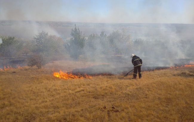 Пожары в Луганской области: прокуратура открыла дело