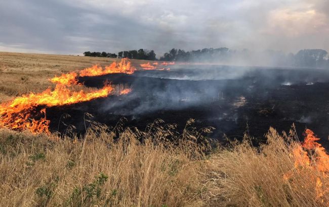 В Украине объявлен чрезвычайный уровень пожарной опасности