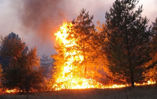 Пожары в Харьковской и Луганской областях: причины и последствия