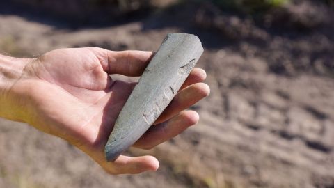 Під Львовом знайшли поселення найдавнішої культури: артефактам понад 7 тисяч років