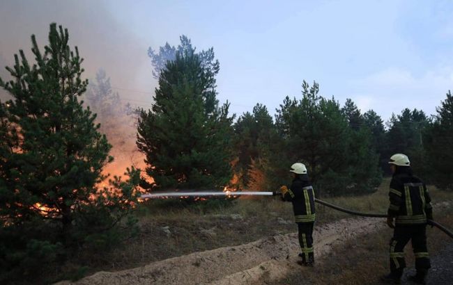 У Київській області локалізували пожежу на військовому полігоні