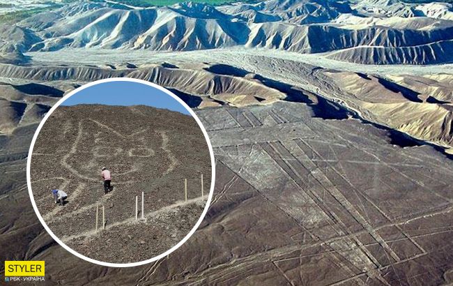 У Перу знайшли гігантський малюнок домашньої тварини: йому близько 2 тис. років