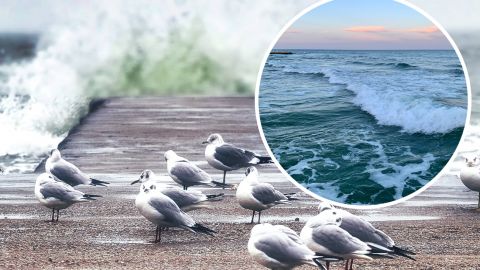 Грози, зливи та спека: якою буде погода на морських курортах України в останній тиждень літа