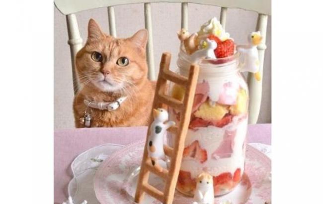 День кошки: сладости и радости