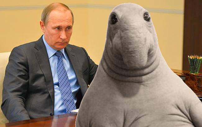 Известный карикатурист показал "реакцию" Путина на Ждуна