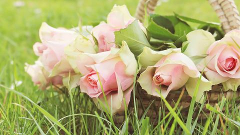 Кирилів день 22 червня: що суворо заборонено робити, всі прикмети і іменинники