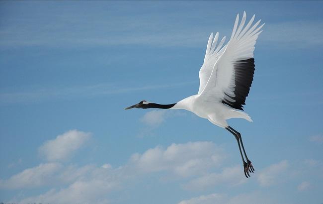 Гороскоп на сегодня, 14 января