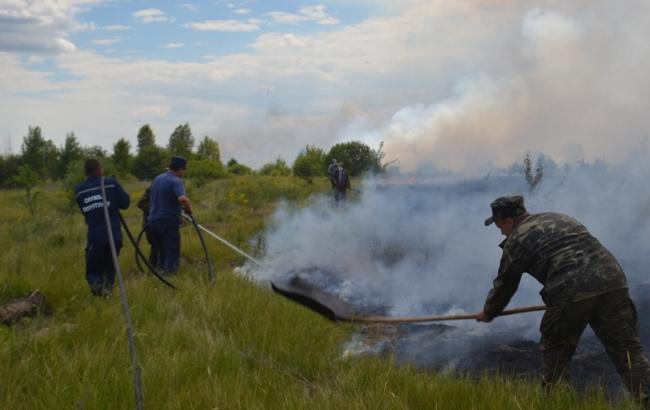 Під Чорнобилем кожне літо виникає до 15 пожеж, - Мінекології