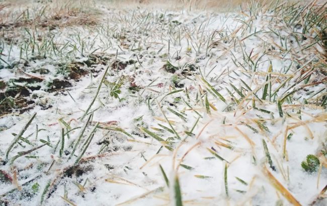 В Карпатах выпал снег, на горе поп Иван ограничена видимость