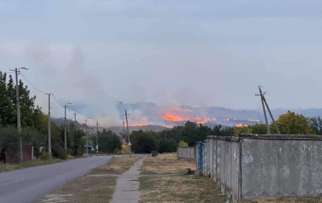 В Краматорске произошел масштабный лесной пожар