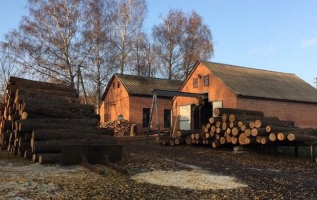 СБУ заблокувала схему розкрадання лісових ресурсів на майже 100 млн гривень