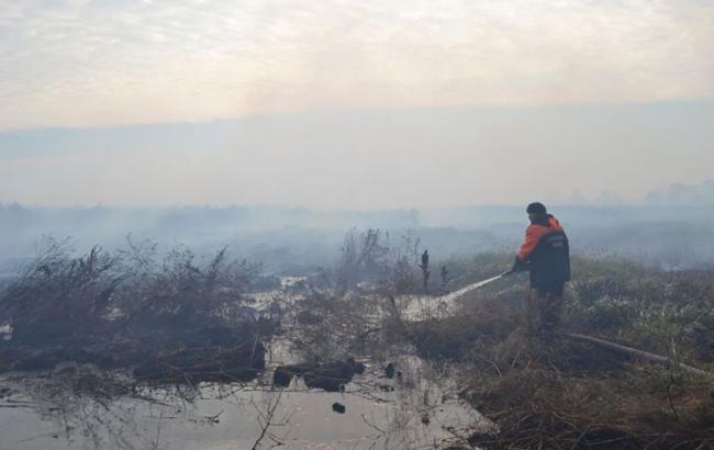 ГСЧС продолжает тушить 14 очагов возгорания торфа под Киевом