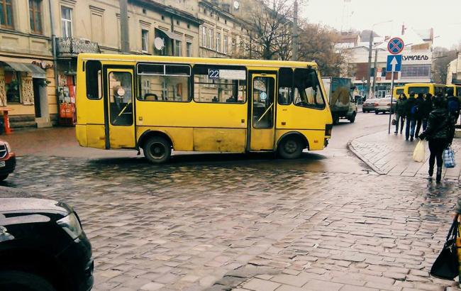 По Львову разъезжает "экомаршрутка", из которой растут грибы