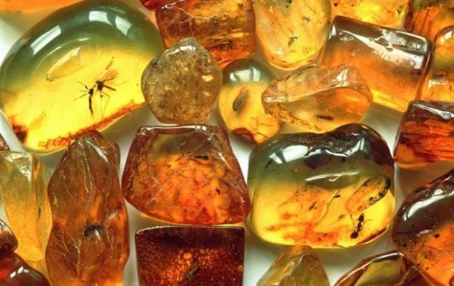 Українські прикордонники затримали 150 кг бурштину на кордоні з Польщею