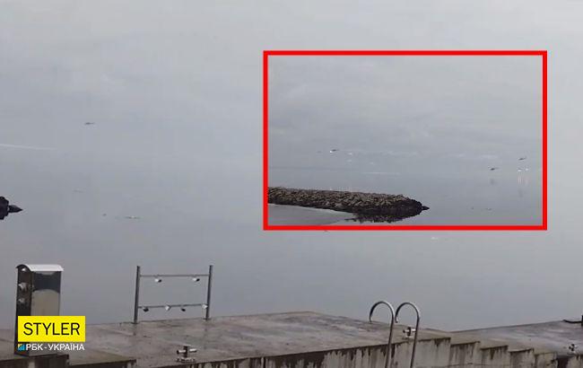 ВСУ показали, как под Киевом тонут подбитые российские вертолеты