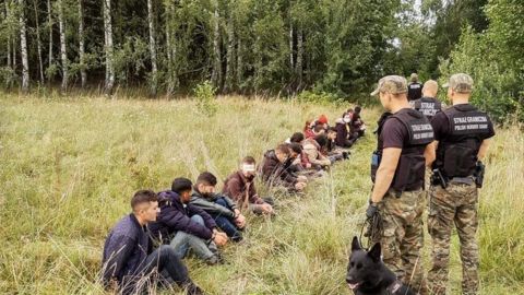 Мігранти з Білорусі кинулися до Польщі: прикордонники затримали рекордну кількість нелегалів