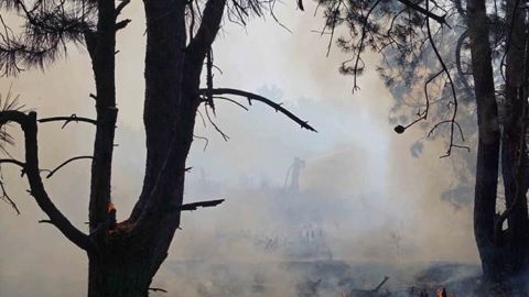 Пожар на острове Хортица: полиция начала проверку