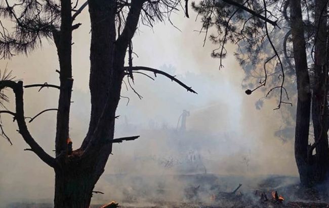 Пожежа на острові Хортиця: поліція почала перевірку