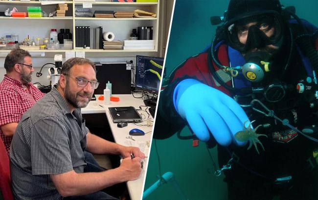 Украинские ученые нашли новый вид существ в Антарктике: детали открытия