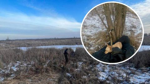 В Киевской области мужчина спас собаку ценой собственной жизни (фото)