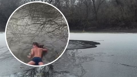 Полез в воду в -13: в Ирпене мужчина спас собаку, которая провалилась под лед (видео)