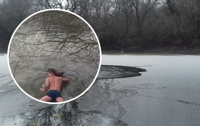 Полез в воду в -13: в Ирпене мужчина спас собаку, которая провалилась под лед (видео)