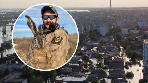 Украинские военные обнаружили гигантского зайца во время разминирования Херсона. Таких даже в Чернобыле не было! (фото)