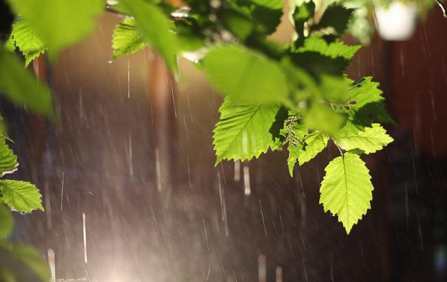 Погода на завтра: в Украине дожди с грозами, температура до +27