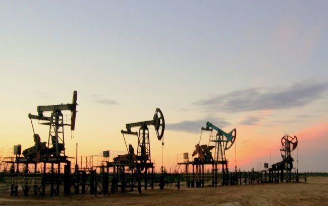 Украина за 7 месяцев снизила добычу нефти на 9,2%