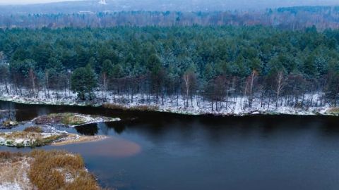 Работы в Чернобыле&nbsp;на реке Припять угрожают 8 миллионам украинцев: ученые бьют тревогу