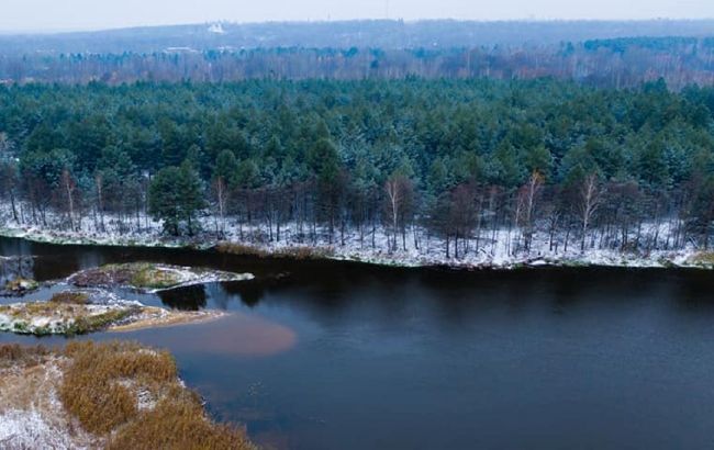Роботи в Чорнобилі на річці Прип'ять загрожують 8 мільйонам українців: вчені б'ють на сполох