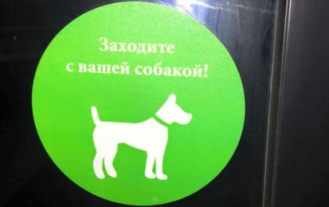 В Киеве появилось кафе, в которое можно приходить с животными
