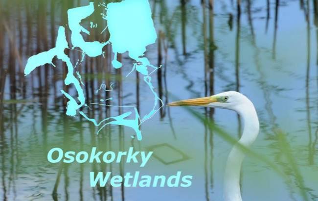 Киевляне хотят создать уникальный экопарк на Осокорках