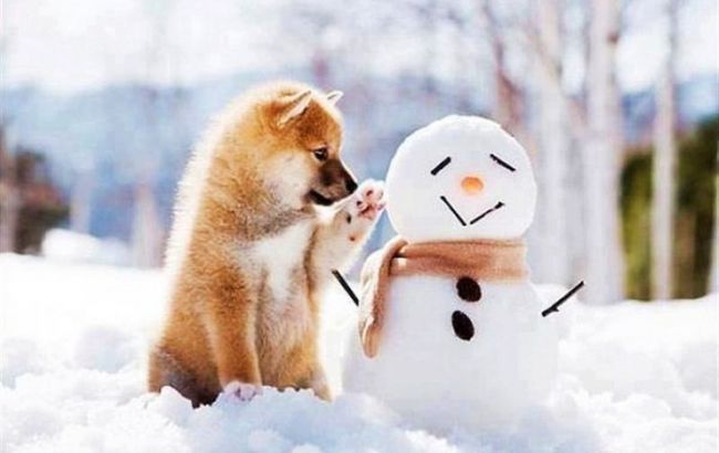 Погода на сегодня: в Украине ожидается снег, температура до -6