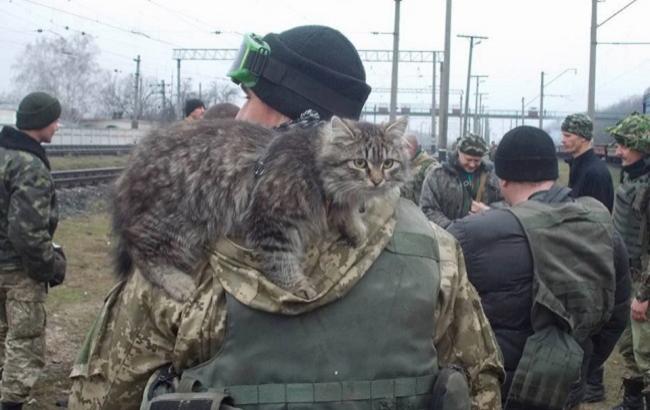 "Воины света": во время ротации украинские бойцы забрали "боевых" животных домой