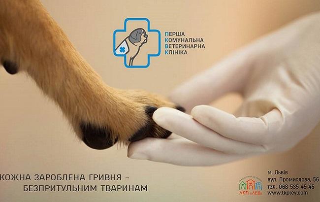 Во Львове открылась ветклиника с низкими ценами, где позаботятся и о бездомных животных
