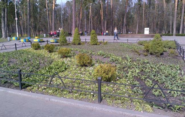 Ко Дню Киева в столице откроют 15 скверов