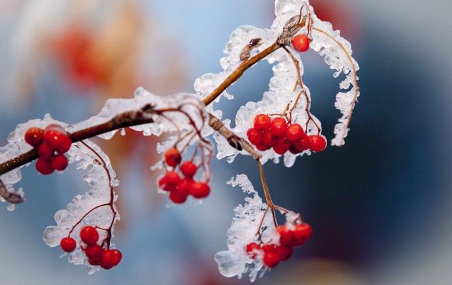 Синоптики попереджають про заморозки в окремих регіонах України