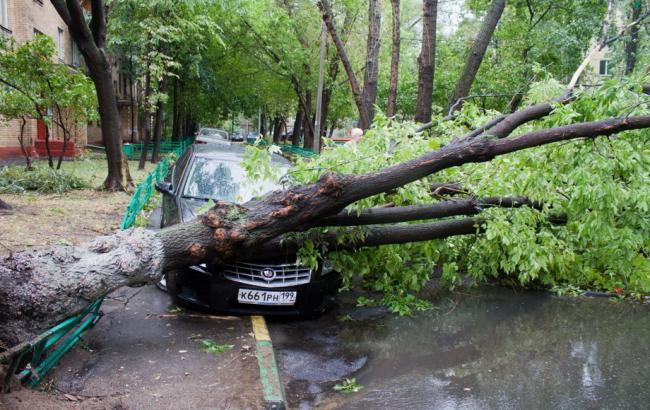 У результаті урагану в Москві загинули 11 осіб, - джерело