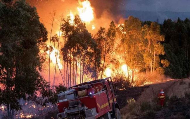 В Испании из-за лесных пожаров эвакуировали более 3 тысяч человек