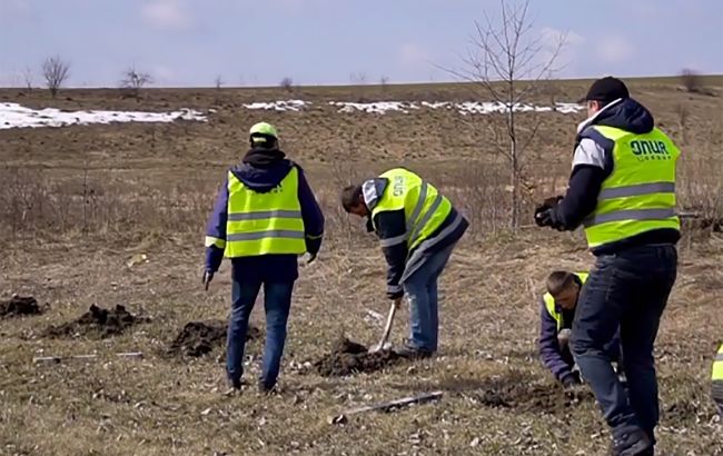 На трасі Київ-Чоп за останні 7 років дорожники висадили 3,5 тисяч дерев, - "Укравтодор"