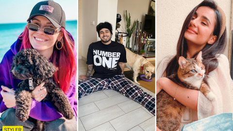 Украинские звезды похвастались своими любимцами: слепая кошка Буля и сразу 7 собак!