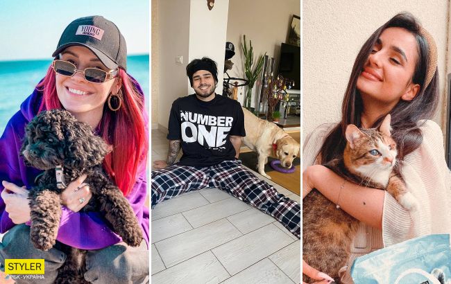Українські зірки похвалилися своїми улюбленцями: сліпа кішка Буля і відразу 7 собак!