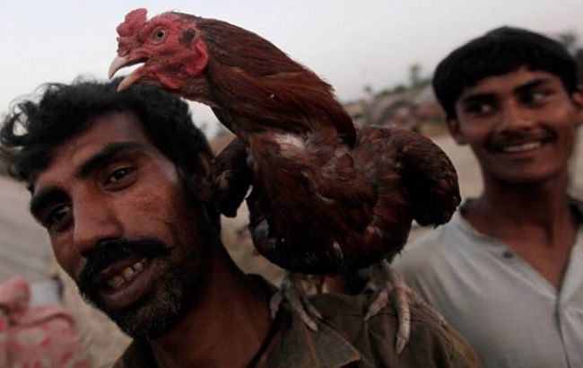 У Пакистані п'ять мільйонів фермерів отримають від держави смартфони