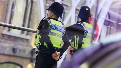 У Лондоні затримали 24 учасника мітингу в підтримку ультраправого активіста