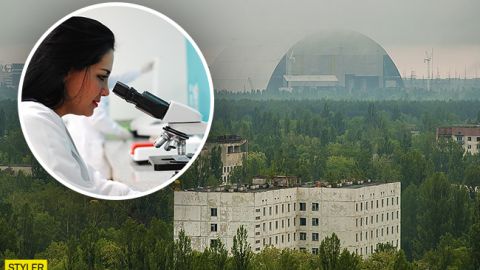 Лекарство от облучения: в Чернобыле обнаружили уникальный грибок