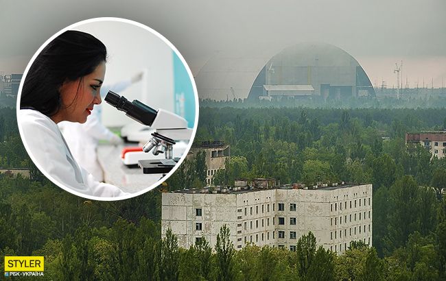 Ліки від опромінення: в Чорнобилі виявили унікальний грибок