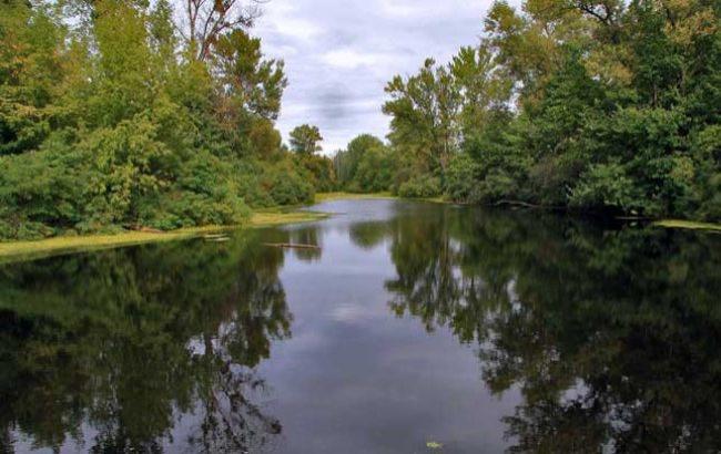 Суд разрешил строительство "Межигорья-2" на "Жуковом острове"